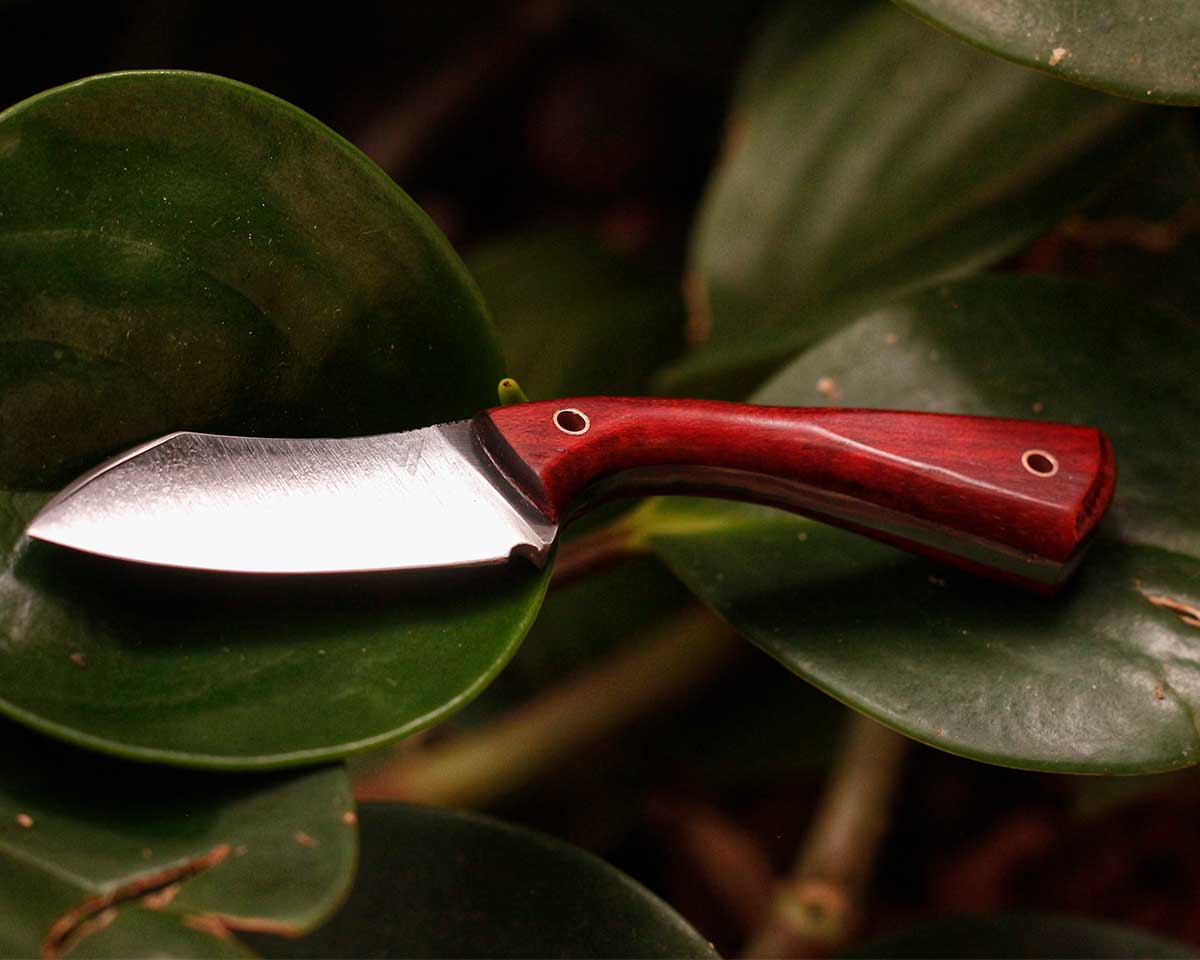 EDC_small_pau_brazil_wood.jpg